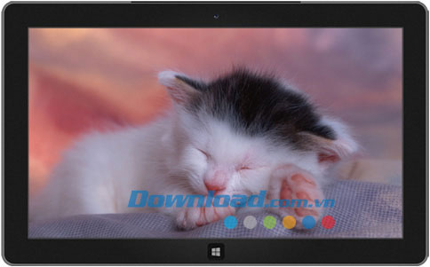 Sleepy Kittens theme